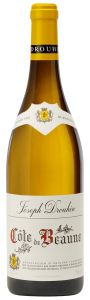Wine Image