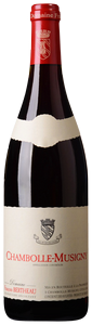 Wine Image
