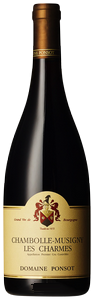 Wine Image