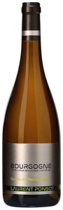 Wine Image