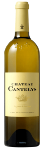 Wine Image