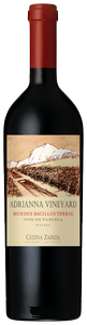 Wine Image