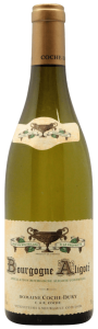 Wine Image