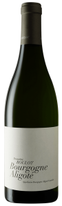 Wine Image