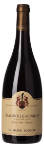 Wine Image