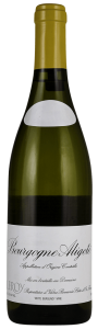 Wine Image