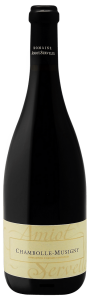 Wine Image