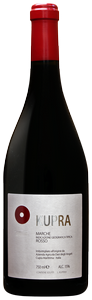 Wine Image