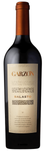 Wine Image