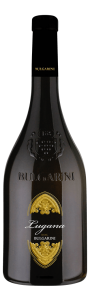 Wine Image