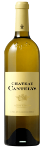 Wine Image
