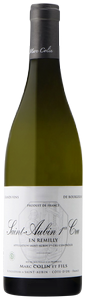 Wine Image