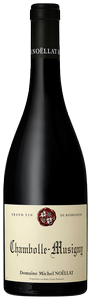Wine Image